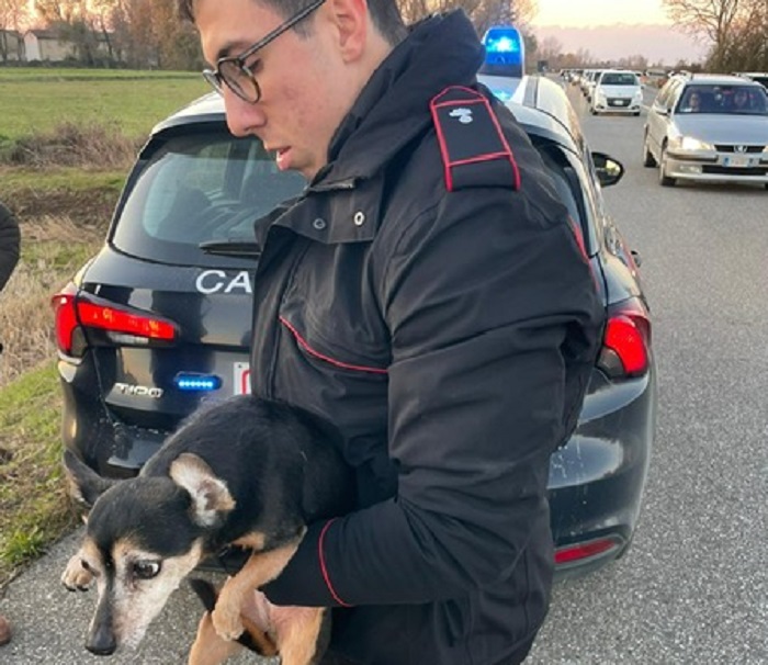 "Animali in città”: l’Asl Vercelli premiata 