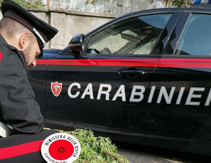 Carabinieri Vercelli: in un anno sequestrati 3 kg di sostanze psicotrope