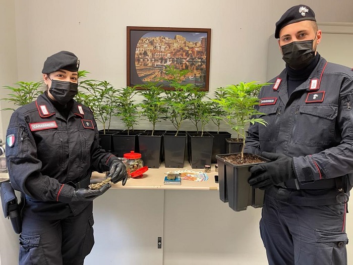 In un alloggio di Vercelli coltivava droga che vendeva anche all'estero