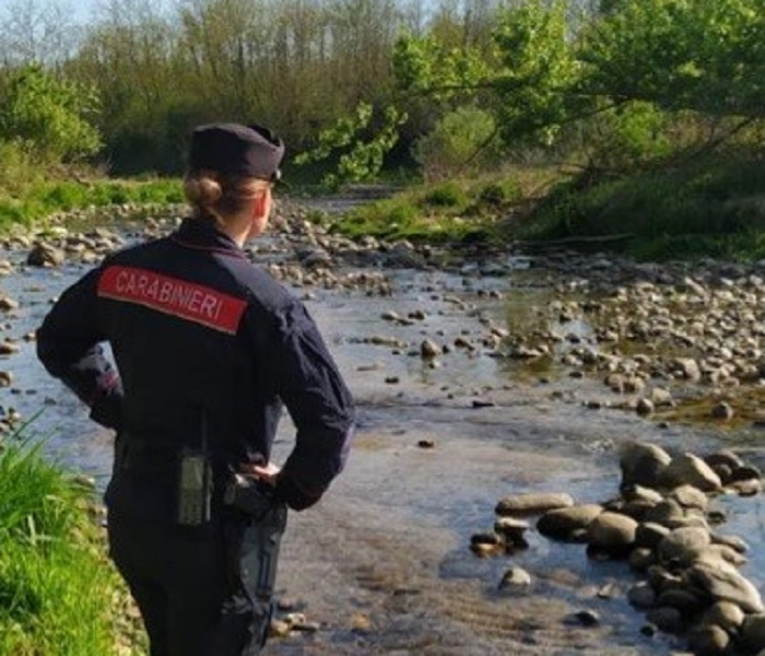 Tredici tartarughe sequestrate dai carabinieri