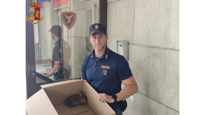 Leprotto salvato dalla polizia ferroviaria