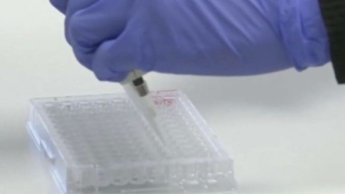 La Provincia di Vercelli diventa zona rossa per il Coronavirus