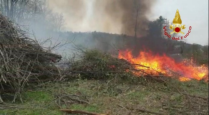 Sterpaglie a fuoco rischiano di mandare in fiamme un bosco