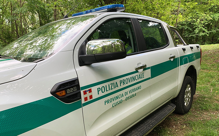 Corriere infedele abbandona i pacchi in mezzo alla campagna