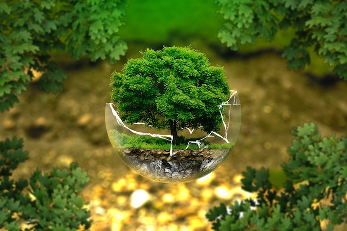 Giornata della Terra: riparte Valsesia Plastic Free