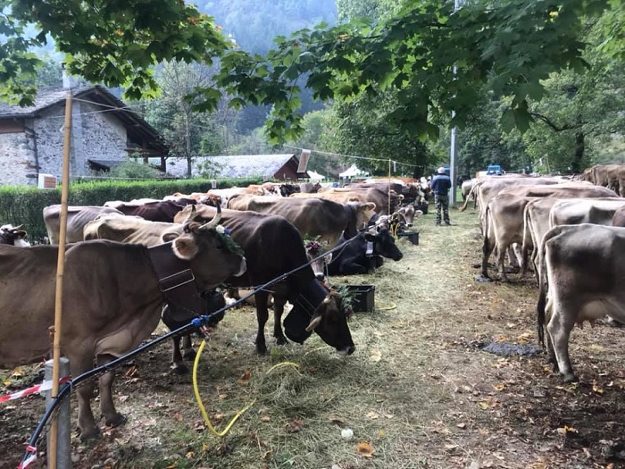 Domenica la fiera valsesiana a Doccio
