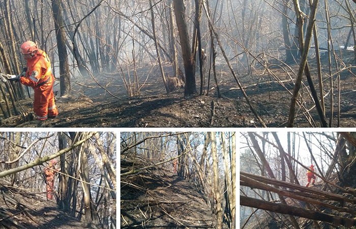 Aib ed elicotteri ancora impegnati per spegnere le fiamme. Video