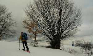 Ciaspole1