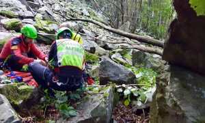 FC9483C5 5BC6 495D 8CD1 B5B601F9805D