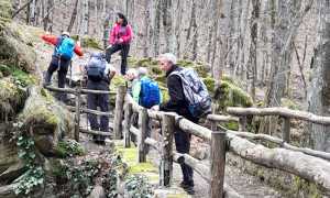 IMG 20240215 WA0042