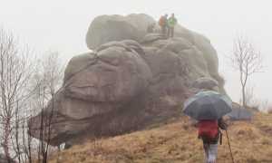 IMG 54782
