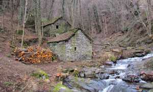 IMG 56242