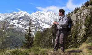 IMG 78371