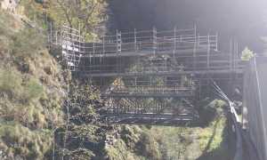 Ponte gula 