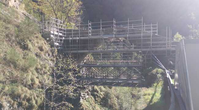 Ponte gula 