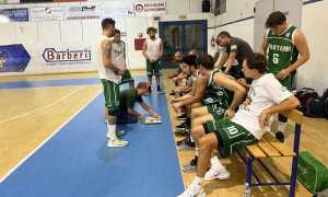 SPARTANS BASKET