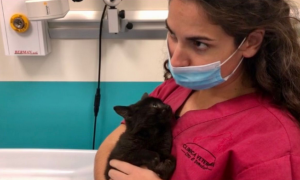 Schermata 2020 11 29 alle 11.21.24