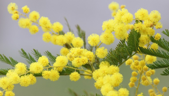 Schermata 2021 04 17 alle 11.14.03