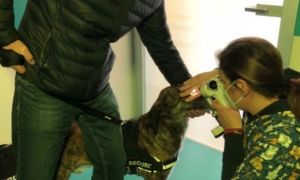 Schermata 2021 04 25 alle 10.05.49