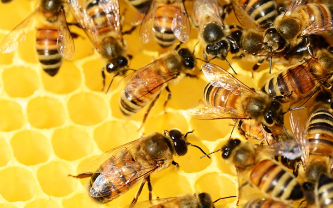 Schermata 2021 08 07 alle 09.41.25