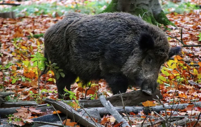 Schermata 2022 01 08 alle 13.37.31