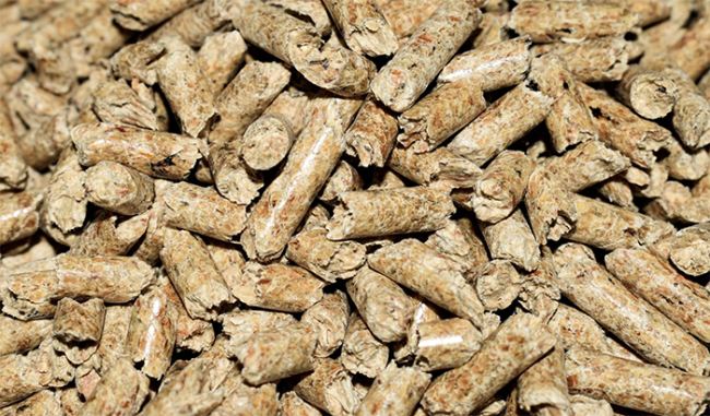 Screenshot 2023 01 08 alle 09.21.19