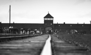 Screenshot 2025 01 21 alle 15.46.31