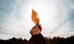 Screenshot 2025 09 21 alle 09.28.32