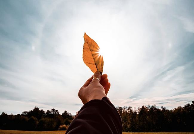 Screenshot 2025 09 21 alle 09.28.32