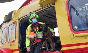 WhatsApp Image 2020 12 12 at 11.05.30