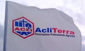 acli