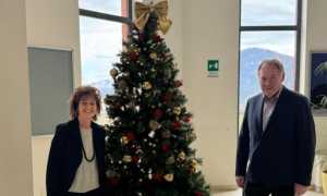 alberi natale ospedale borgosesia vercelli