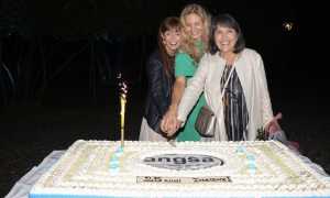 angsa 25 