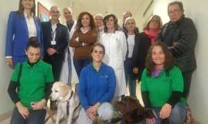 asl vc pet therapy