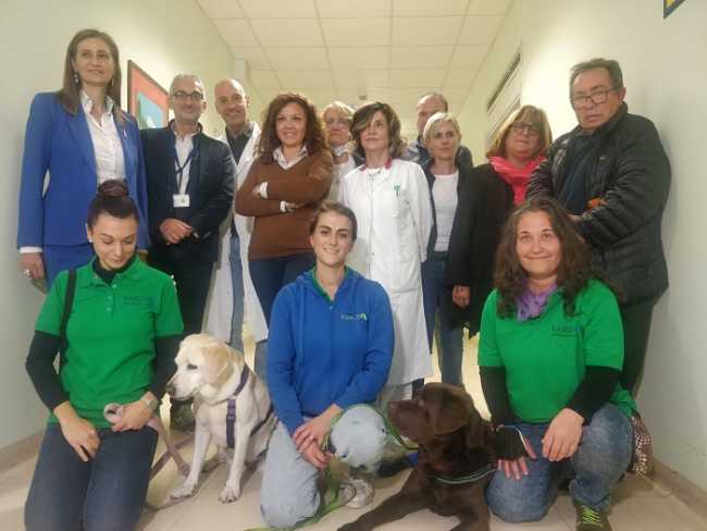 asl vc pet therapy