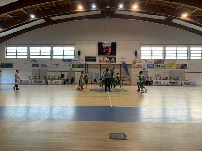 basket barberi under 15