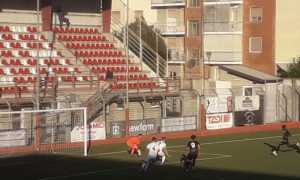 borgos legn