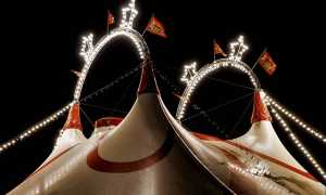 circo tendone