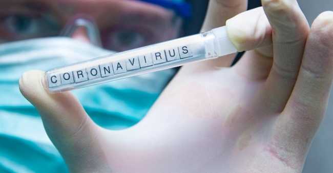 corona virus