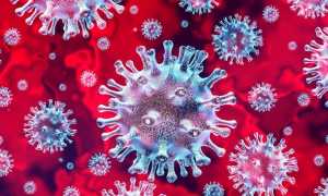covid 19 virus