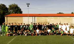 dufour lions