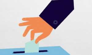 elezioni voto