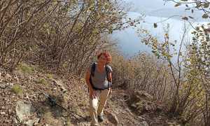 fabbri morissolo vertical