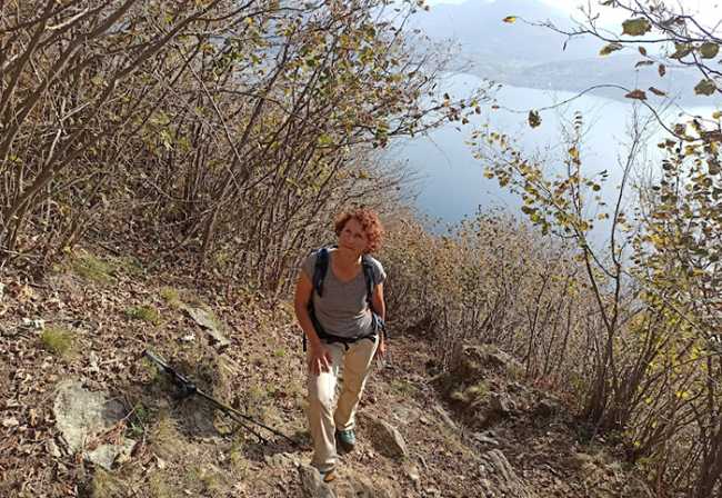 fabbri morissolo vertical