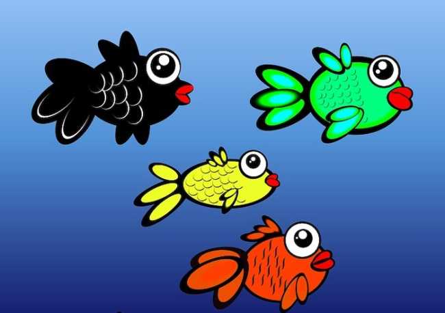 fish tank 260707 960 720