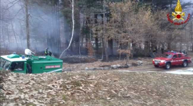 incendio bosco