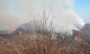 incendio conapo