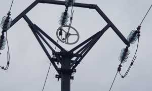 linee elettriche dissuasori uccelli