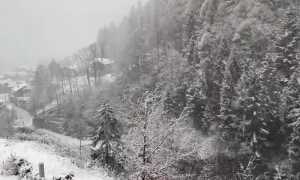 neve generica