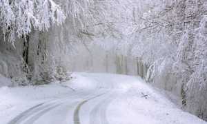 neve valmastallone